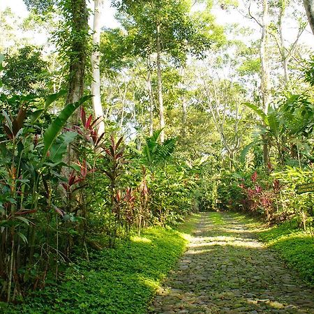Takalik Maya Lodge El Asintal المظهر الخارجي الصورة