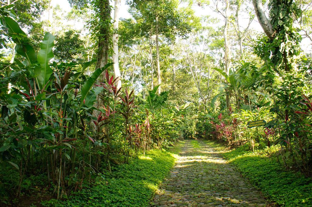 Takalik Maya Lodge El Asintal المظهر الخارجي الصورة