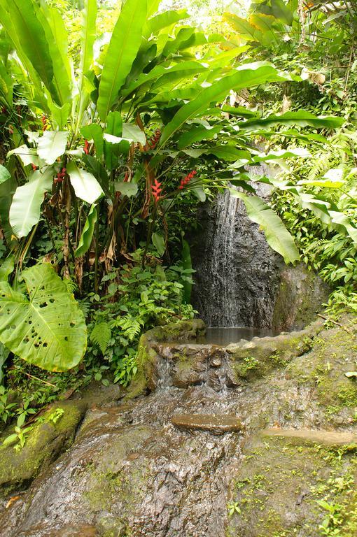 Takalik Maya Lodge El Asintal المظهر الخارجي الصورة