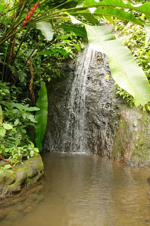 Takalik Maya Lodge El Asintal المظهر الخارجي الصورة