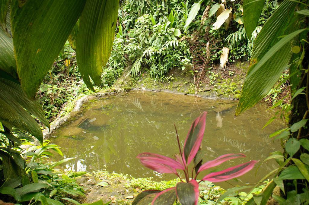Takalik Maya Lodge El Asintal المظهر الخارجي الصورة