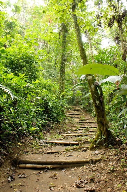 Takalik Maya Lodge El Asintal المظهر الخارجي الصورة