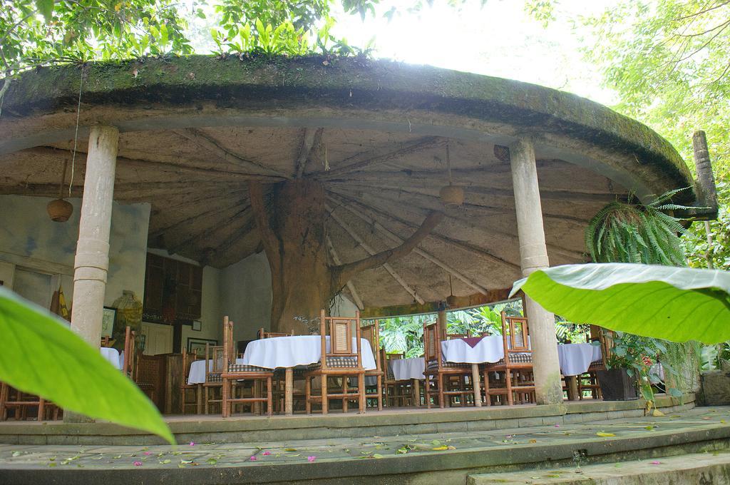 Takalik Maya Lodge El Asintal المظهر الخارجي الصورة