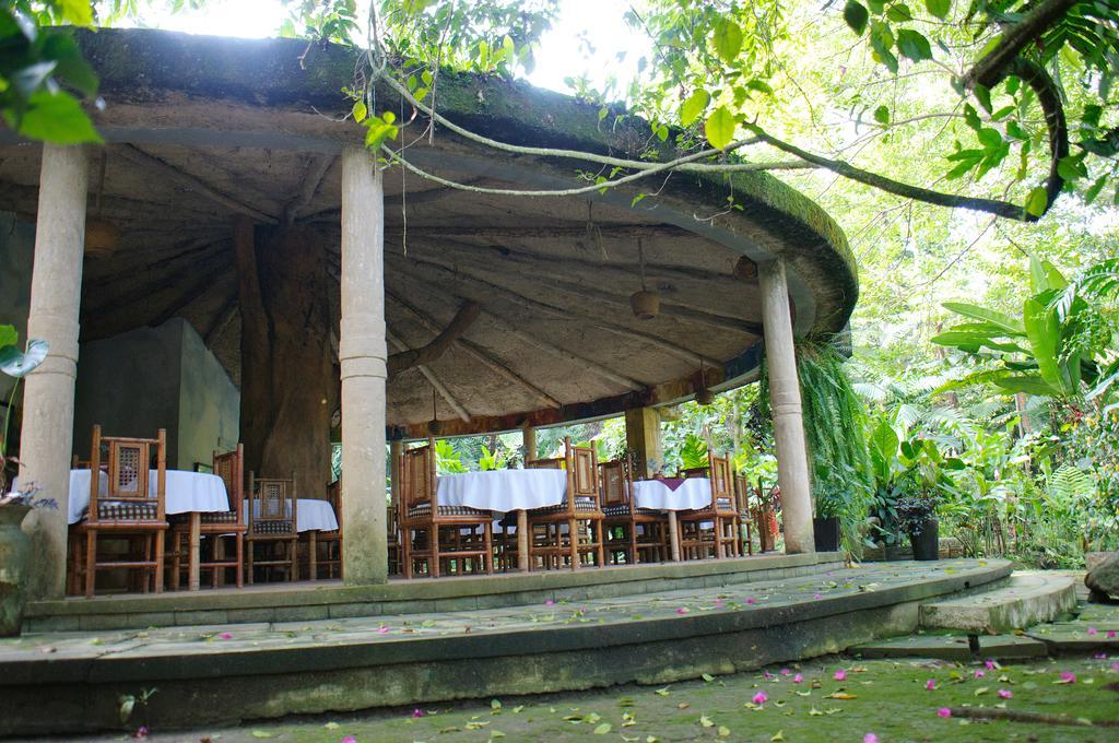 Takalik Maya Lodge El Asintal المظهر الخارجي الصورة